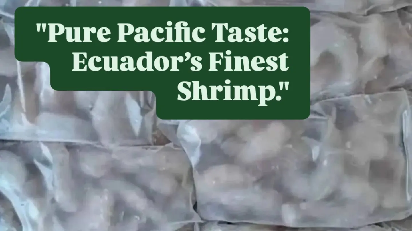 Pure Pacific Taste: Ecuador's Finest Shrimp